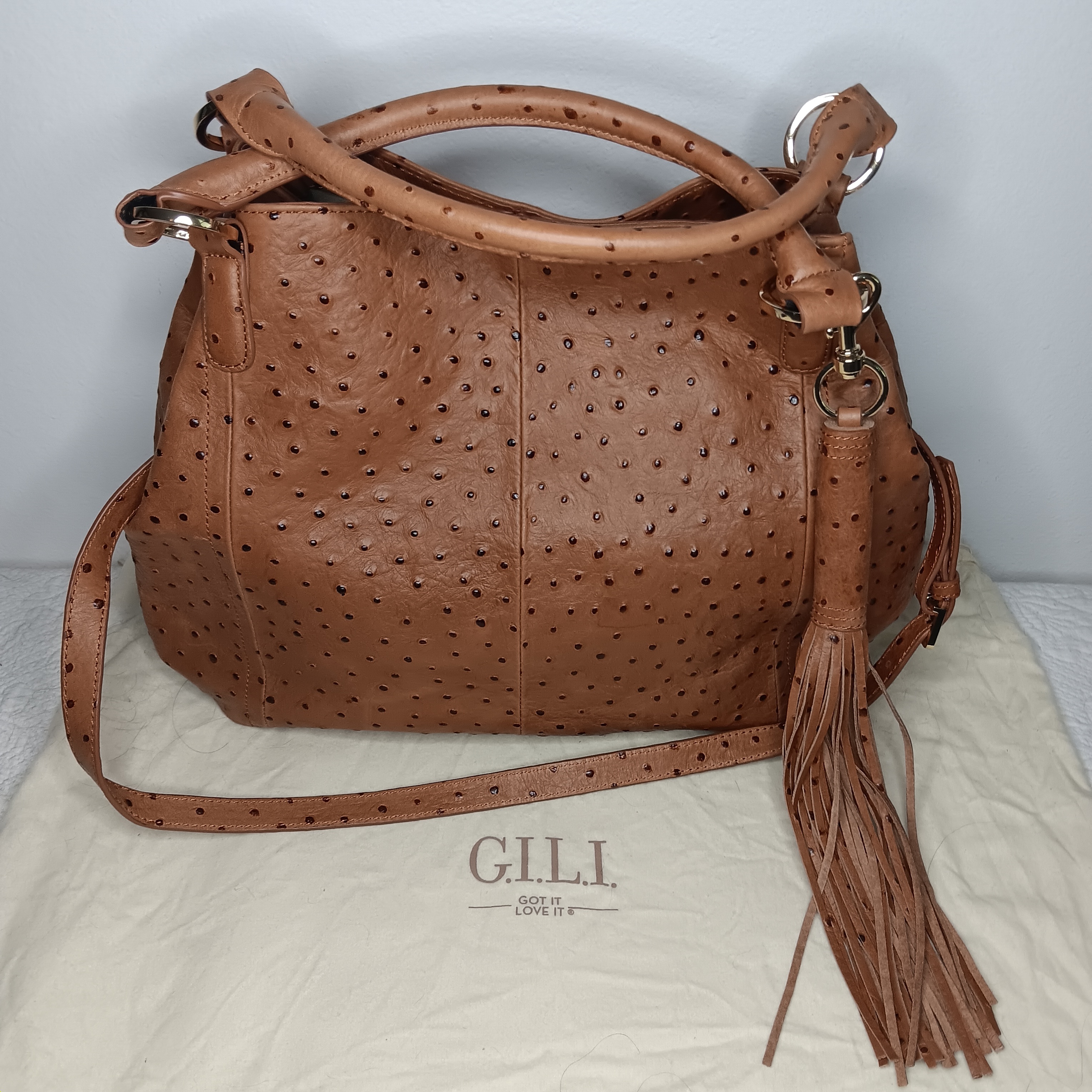 G.I.L.I. Roma Brown Leather Women's Bag